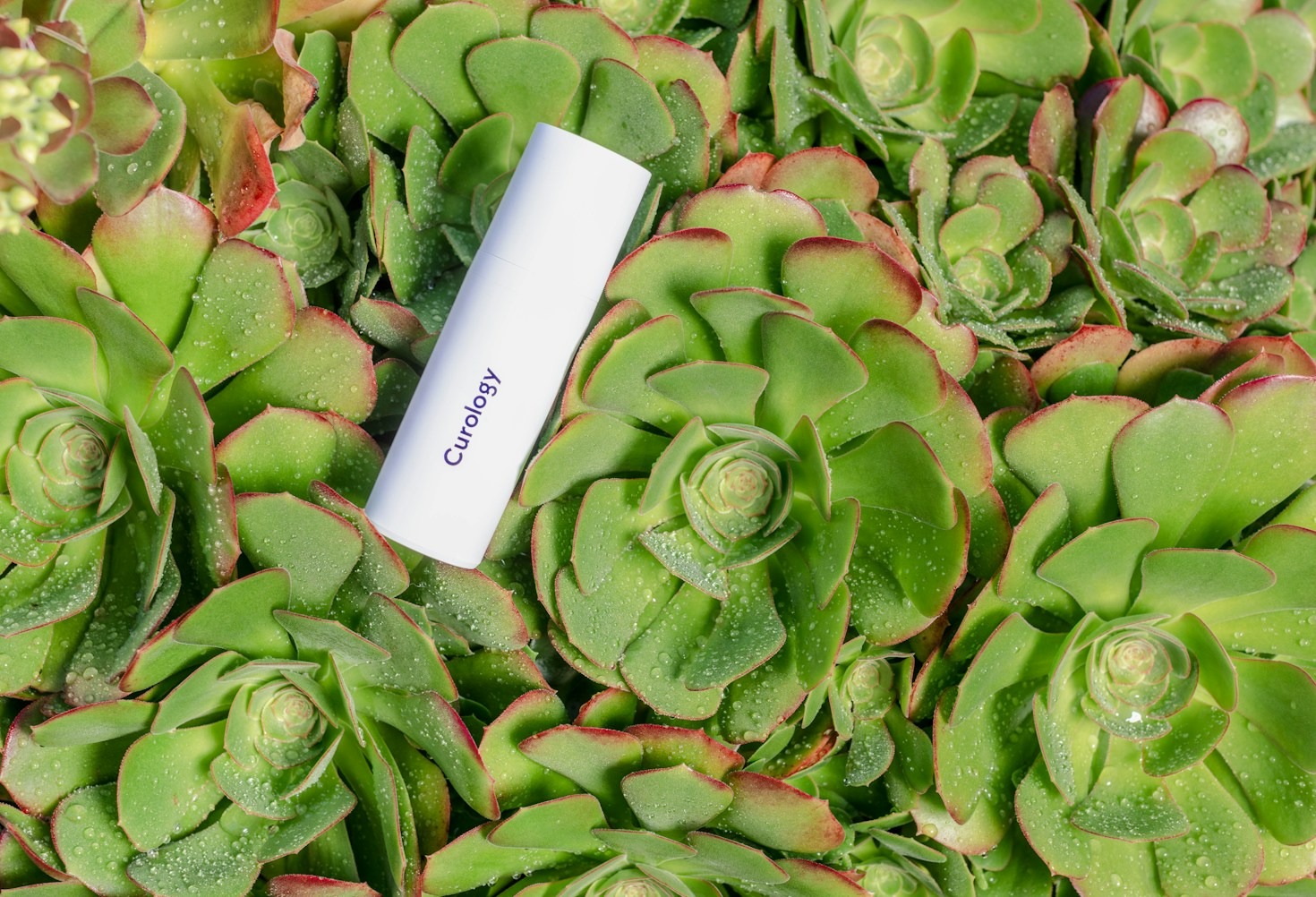 Best Skincare Deals You Can’t Miss This Month